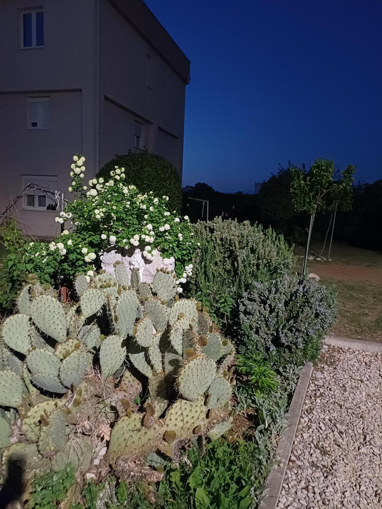 Villa Ana Međugorje Eksteriør bilde