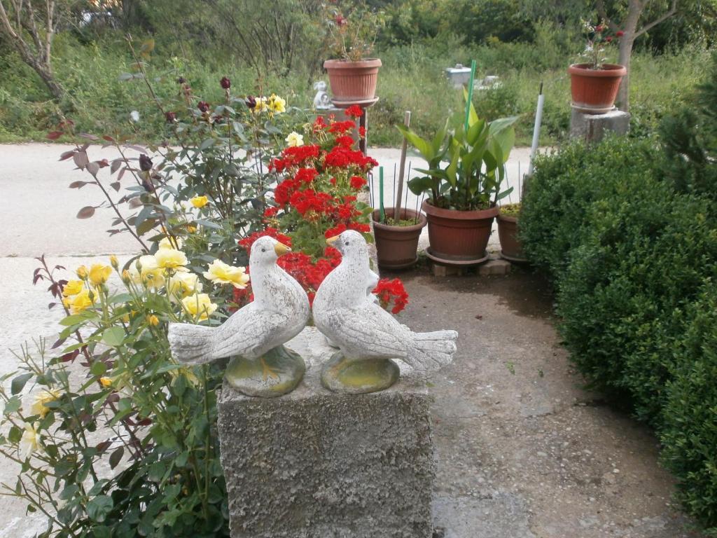 Villa Ana Međugorje Eksteriør bilde
