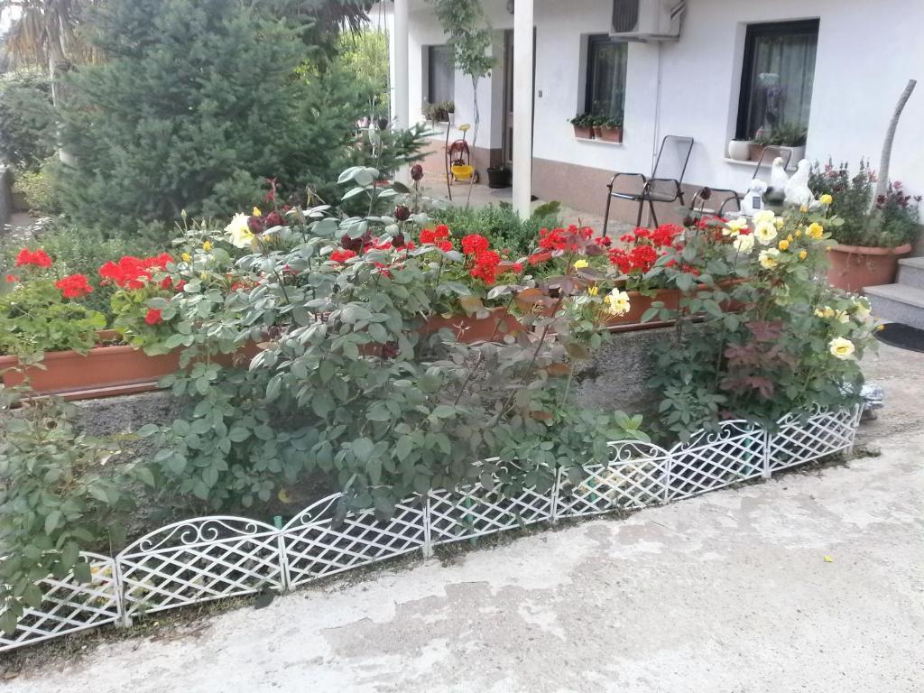Villa Ana Međugorje Eksteriør bilde